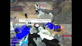 TODAY I WAS THE BEST I MET ShyFoox FOR THE SECOND TIME!!! (Wolves Life 2 Beta)