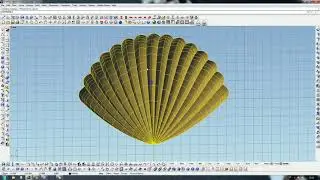 Building a seashell simply and quickly method.