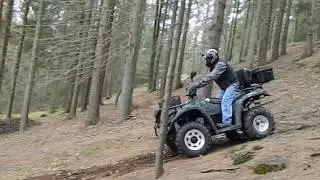 ATV Linhai 300 Dragon Fly - stahování dřeva 3