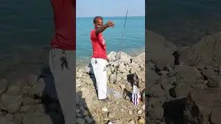 Fishing at Alkhobar corniche, amazing place #shorts #viral #viralshorts #fishing #ksa #corniche #1m