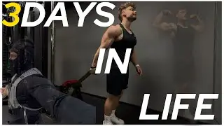 DAYS IN LIFE | Mein erster Halbmarathon in W&uuml;rzburg?! | - Andr&eacute;