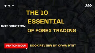 The 10 essentials of forex trading book review   introduction