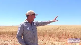 WA agronomist Bill Crabtree discusses new Pacific Seeds wheat Havoc