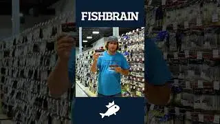 Find all my gear on the the app.