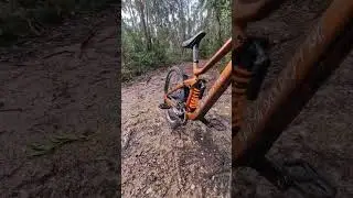 Scott gambler 930