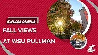 Fall Views at WSU Pullman