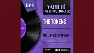 The Lion Sleeps Tonight