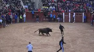 Ciudad Rodrigo 2026 Carnaval del Toro, Toro del aguardiente