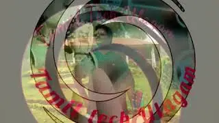 TAMIL TECH ULAGAM