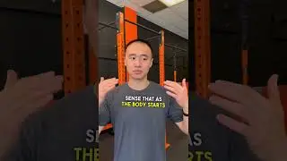 Is Weightlifting Safe For Your Joints After 50? #shorts #workout