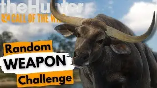 Mit ZUF&Auml;LLIGEN Waffen auf Wildrinder! | the Hunter Call of the Wild Deutsch