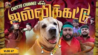 களத்தில் இறங்கிய Chottu 🔥🔥| For The First Time: Chottu Channel'லில் Jallikattu😍😍 | Vlog 67