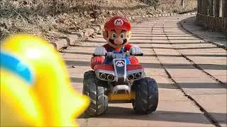 Carrera RC Mario Kart Peach  마리오카트 피치 공주