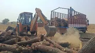 #woodwork#jcbvideo#sawmillwork#sawmillfactory#amazing jcb work #need a labour for work 