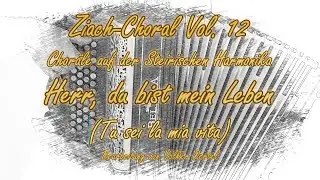 Ziach-Choral Vol. 12: Herr, du bist mein Leben (Tu sei la mia vita - Symbolum 77) (ADGC)