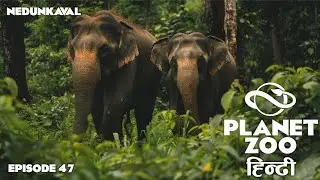 PLANET ZOO हिन्दी | EP 47 - Indian Elephants - 2 (Franchise Mode Let's Play)