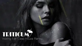 TRITICUM - Waiting For ► Минус в стиле Deep House ► FLP