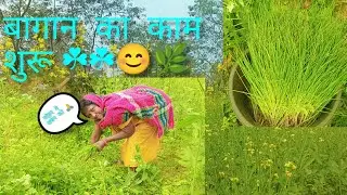 बागान का काम शुरू हो गया है||ब्याज 🌰🌰🌰||ब्याज लगाने का समय||#vlog 🙏🙏😊😊🥰🌿🌿☘️,,,