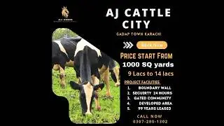 cattle farming land available in karachi | Aj cattle city | Gadap town karachi #cattle #farmhouse