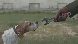 YouDo.  Дела делаются.  Охота.