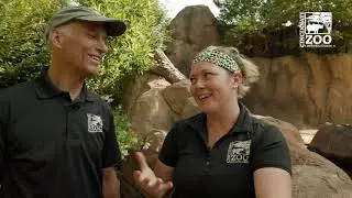 Thane Maynard's Story Safari - Fiona the Hippo - Cincinnati Zoo