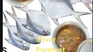 Traditional Silver Pomfret Masala | Full Cooking Process”