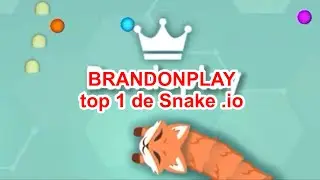 Me convertí en el top #1 de Snake.io 