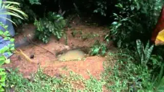 Underground Tunnel water in it