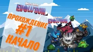 Angry Birds Evolution | НАЧАЛО | ПРОХОЖДЕНИЕ #1