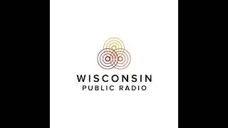 2026.01.15 - Skylar Grey Interview on Wisconsin Public Radio