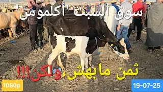 #مباشرة من#سوق #الماشية🐂🐄🐃 لمدينة أكلموس إقليم خنيفرة،السبت19-07-25 #ثمن العجلل والبقرة 💸💸 #المغرب