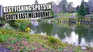6 Easy to Access Carp Fishing Hotspots in South East Melbourne