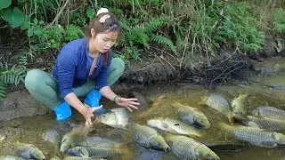 Genius Girl Fishing on Rivers and Lakes, The Amazing Fishing Skills Catch a Lots of Fish, Giant Fish