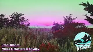 Dreamin' | Noshoes Ft  Snydey, Makozalley, and Oakman (Prod. Bloom)