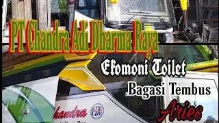 PT Chandra Adi Darma Raya||Ekonomi Toilet||Berbody Jetbus 3+ Voyager||Nopin Aries