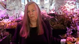 Meg Webster &middot; I Want You to Care More