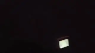 MX7's First Night Hunt!