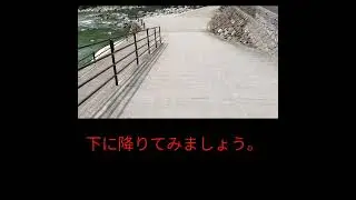 中津市耶馬渓橋をおさんぽ