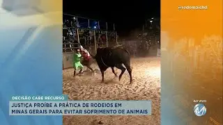 Justi&ccedil;a pro&iacute;be a pr&aacute;tica de rodeios em MG para evitar sofrimento de animais
