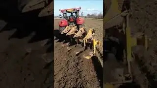 Plowing Case IH Rumptstad #ploughing #caseih #tractor #shorts #farming #agriculture #drone #pfl&uuml;gen
