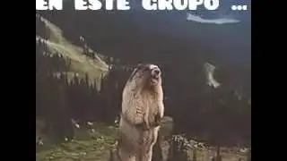 El animal gritador
