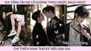 KHI TỔNG TÀI HỌ CỐ KHÔNG THÍCH NGỐC BẠCH NGỌT CHỈ THÍCH NAM THƯ KÝ SIÊU ĐẠI GIA