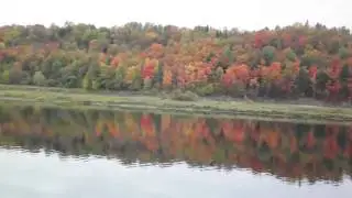 amazing reflection of FALL trees in the Saint John river in Woodstock,NB