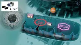Best Class 4 Laser in Ohio, Why Clinics Choose Epoch Lasers for Class 4 Lasers and Laser Equipment