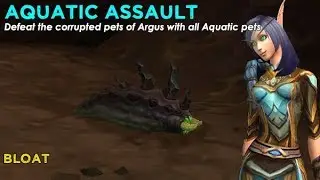 Bloat - Aquatic team