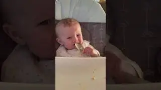 Introducing baby sister Payton, boss baby!