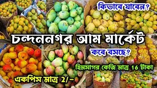 Kolkata Mango Market|Mango Wholesale Market In Kolkata|Chandannagar Mango Market|Kolkata Fruit Ma...