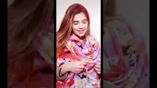 Sindhi Urdu Mix Funny