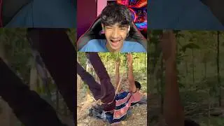 TRY NOT TO LAUGH CHALLENGE 😂 | Wait For End | PPLT PT212