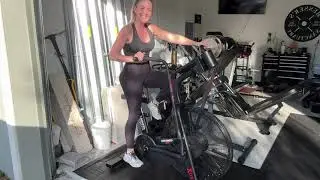 Assault AirBike Classic Review